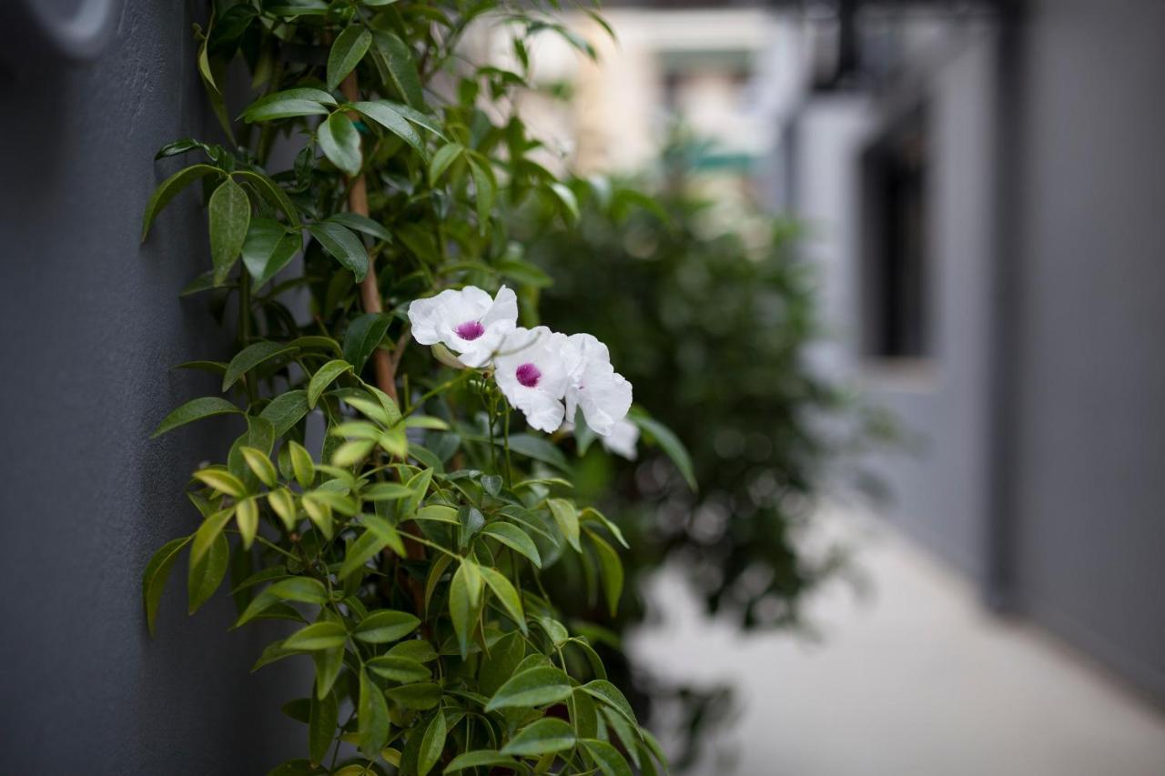 Spacious Flat With Courtyard And Private Parking! Athen Exterior foto